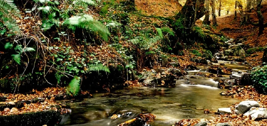 rio tobia la rioja españa